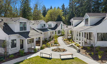 Canopy Cottages